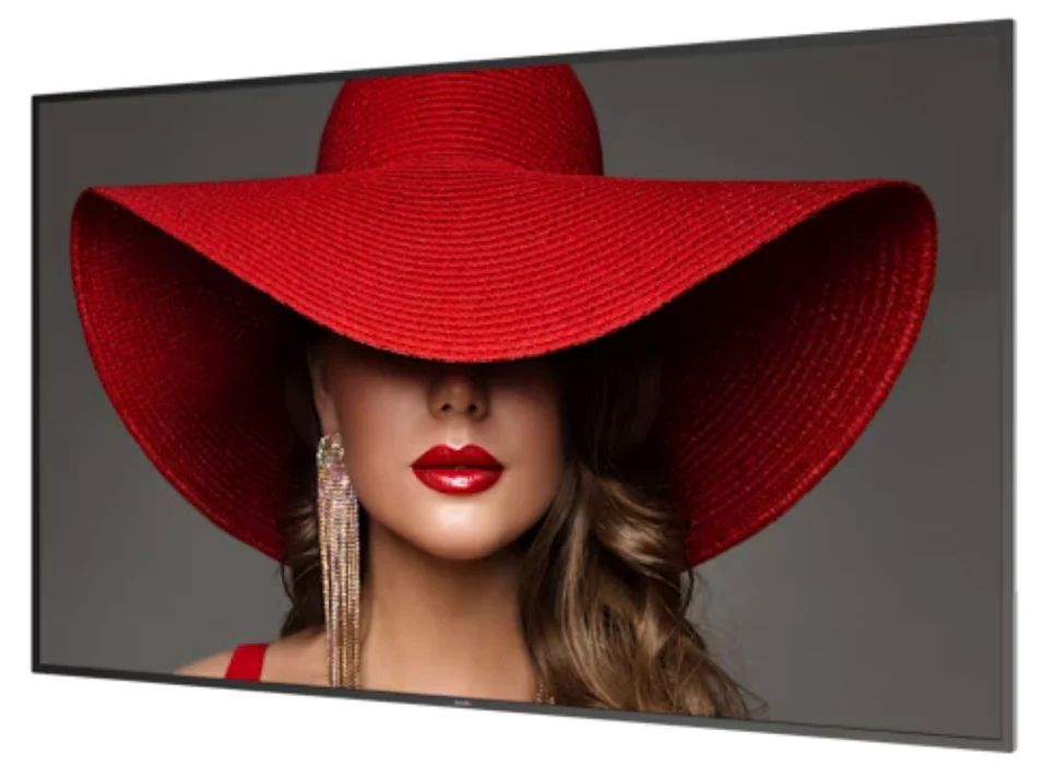 65 D-Line, UHD, 24/7 landscape & portrait, 500cd, Failover, Power by Android 11, CMND (Control and Create), Crestron Connected, WiFi, HTML5..._1