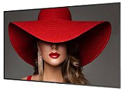 65 D-Line, UHD, 24/7 landscape & portrait, 500cd, Failover, Power by Android 11, CMND (Control and Create), Crestron Connected, WiFi, HTML5..._1