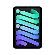 Apple iPad mini (A17 Pro) Cellular 512GB - Space Grey_2