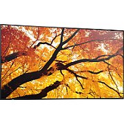 M552 55IN LFD UHD D-LED 550CD/QM 24/7 SDM CM SLOT_1