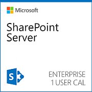 CSP SharePoint Server D-CAL 2019 EDU [P]_1