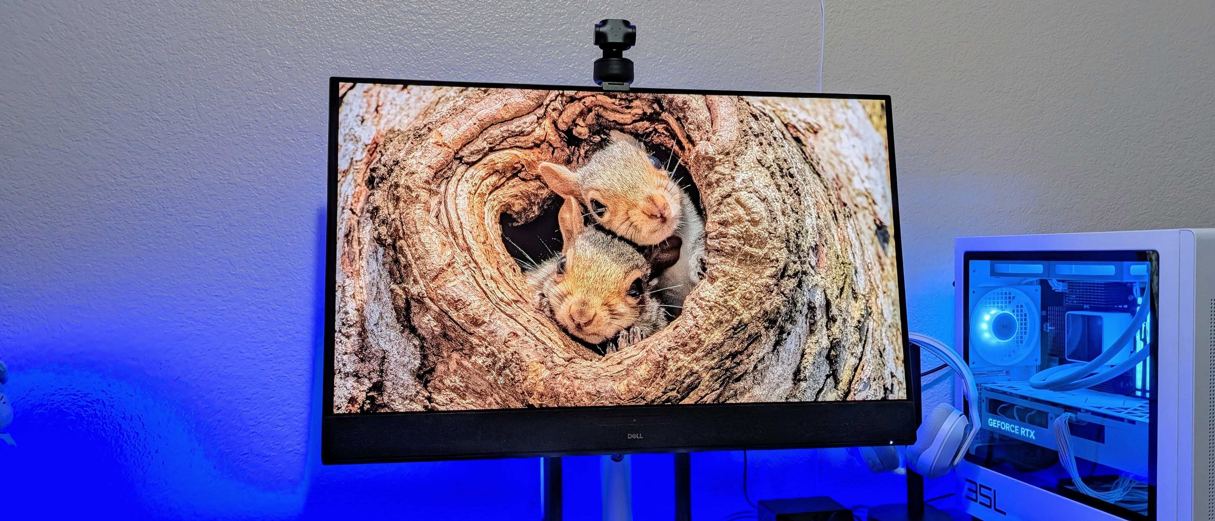 DELL 32 PLUS 4K QD-OLED/MONITOR- S3225QC 32IN 16:9 0.03M_1