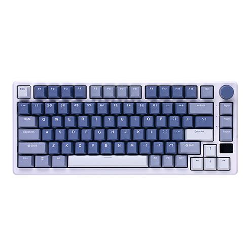 ROYAL KLUDGE RK-M75 Phantom Gaming Keyboard Brown switch_2