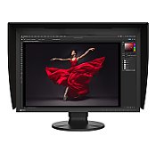EIZO ColorEdge CG2400S 24.1  monitor_1