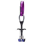 Black Diamond Camalot C4_1