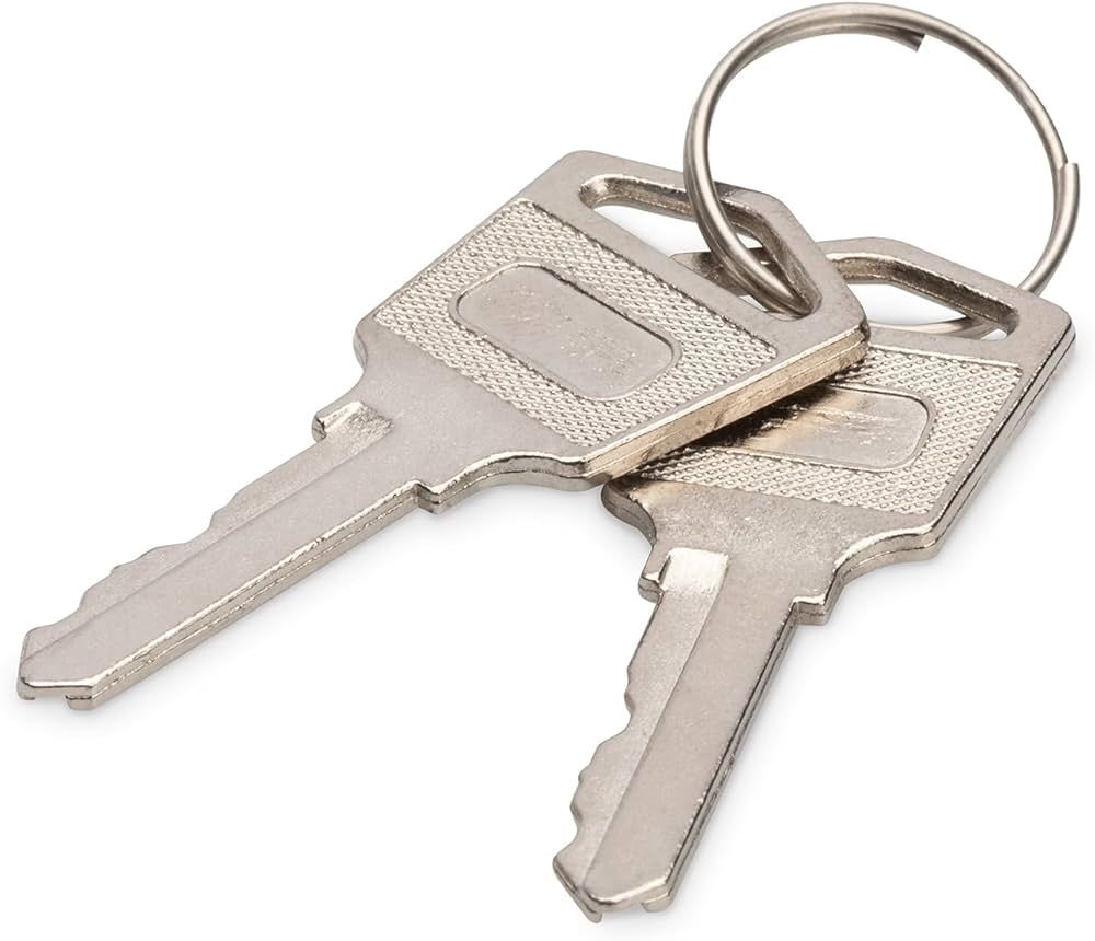 Digitus DN-45000-KEY accesorii pentru carcase Cheie blocare_1