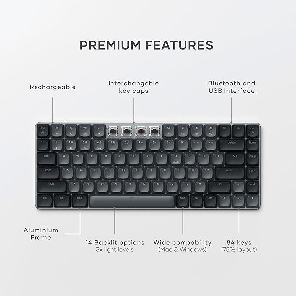 Satechi SM1 Slim Mechanical Backlit Bluetooth Keyboard (Windows Keycaps - Windows, Left Alt, Right Alt 2.4GHz USB Receiver) - Black_5