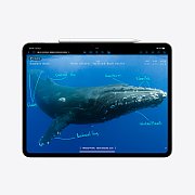 Apple 13-inch iPad Pro (M4) Cellular 2TB with Standard glass - Silver_3