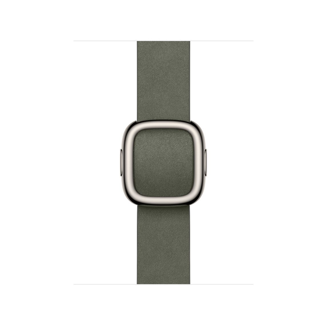 Apple Watch 42mm Modern Buckle: Sage Gray Modern Buckle - Medium_1