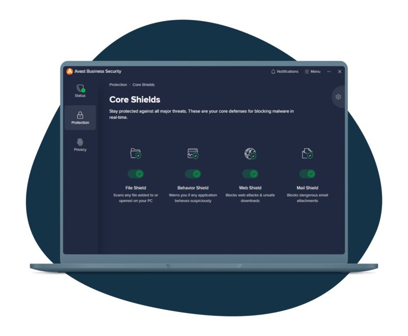 Avast Essential Business Security (2 years)_4