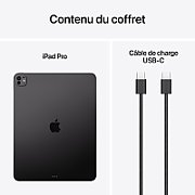 IPAD PRO 13 WIFI 512GB STD/SPACE BLACK_1