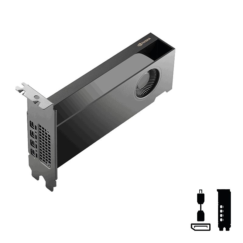 PNY 16GB RTX Pro 2000 Blackwell 4x mDP LP Smallbox  (without Adapter)_1