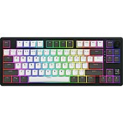 HATOR Skyfall Pro Wireless 80. Keyboard form factor: 80%. Keyboard style: Straight. Connectivity technology: Wired & Wireless, Device interface: USB + RF Wireless + Bluetooth, Keyboard key switch: Mechanical, Keyboard layout: QWERTY. Backlight type: RGB LED. Recommended usage: Gaming. Product_2