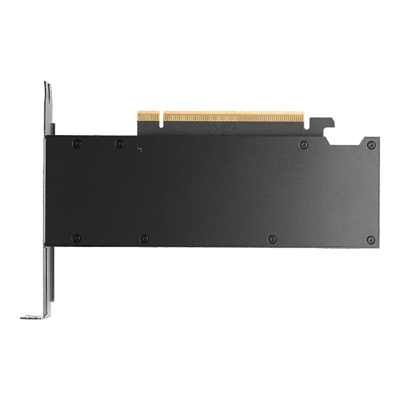 PNY RTX PRO 2000 Blackwell NVIDIA 16 Giga Bites GDDR7_1