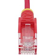 25CM RED SLIM CAT6 CABLE/SNAGLESS RJ45 UTP PATCH CABLE_6